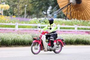 BIB: 
                            <button type="button" onclick="openModal(27860862)" class="btn btn-primary btn-sm float-right btn-popup" data-toggle="modal" data-target=".modal-high-quality">
                        <i class="fas fa-shopping-cart"></i> Add to Cart
                    </button>
                                            <button type="button" onclick="isThisMe(27860862, true)" class="btn btn-success btn-sm float-right btn-popup btn-isme hidden" data-toggle="tooltip" data-placement="bottom" title="นี่คือรูปของคุณใช่ไหม คลิกที่นี่เพื่อเอาเข้าอัลบั้ม">
                        <i class="fas fa-plus"></i> Add to album
                    </button>
                    <button type="button" onclick="isThisMe(27860862, false)" class="btn btn-warning btn-sm float-right btn-popup btn-isnotme hidden">
                        <i class="fas fa-ban"></i> Remove from album
                    </button>